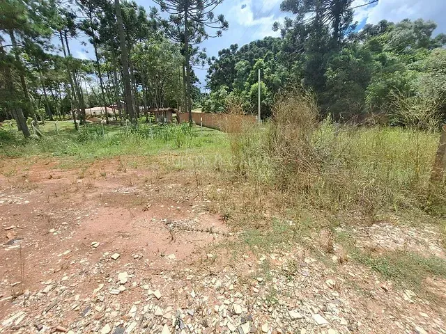 Sítio à venda, no bairro São Dimas em Colombo