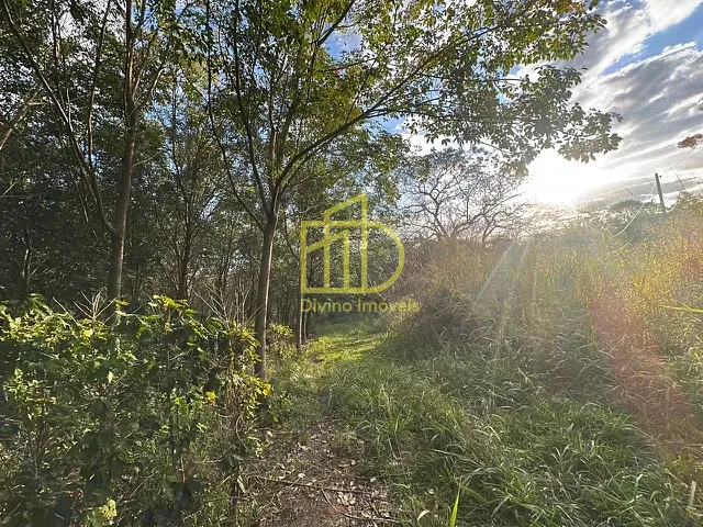 Sítio com 430000m² 1 quarto e 1 banheiro, à venda, no bairro Montolar em Marília