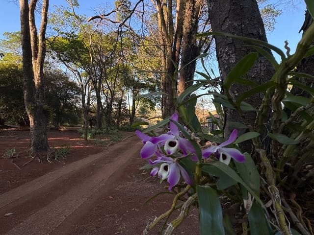 Sítio com 36300m², à venda, no bairro Caguaçu de Baixo em Tatuí
