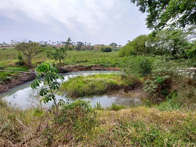 Sítio com 64325m² 2 quartos e 1 banheiro, à venda, no bairro Área Rural de Santo Antônio de Posse em Santo Antônio de Posse