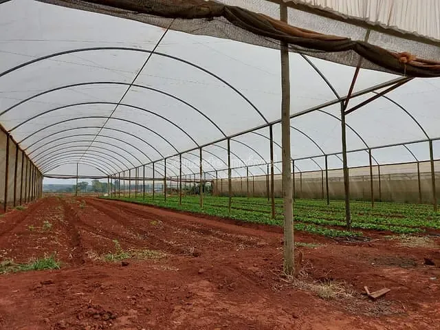 Sítio com 64325m² 2 quartos e 1 banheiro, à venda, no bairro Área Rural de Santo Antônio de Posse em Santo Antônio de Posse