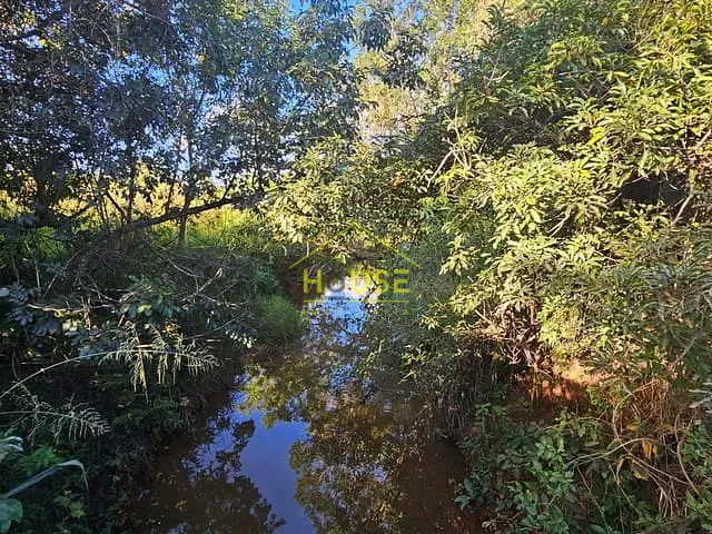 Sítio com 21000m² 3 quartos e 1 banheiro, à venda, no bairro zona rural em Álvares Florence