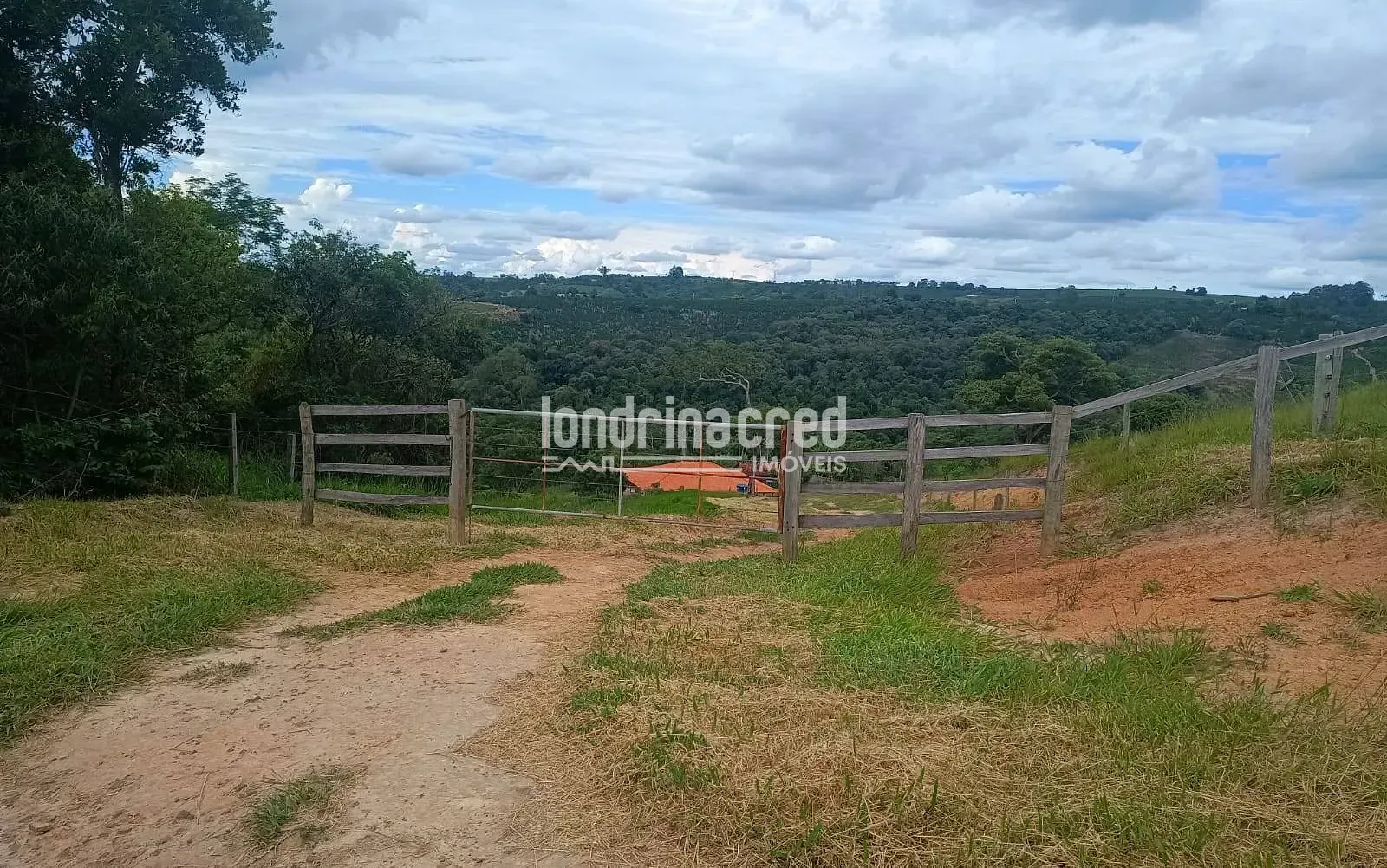 Fazenda, 1200 hectares - Foto 6