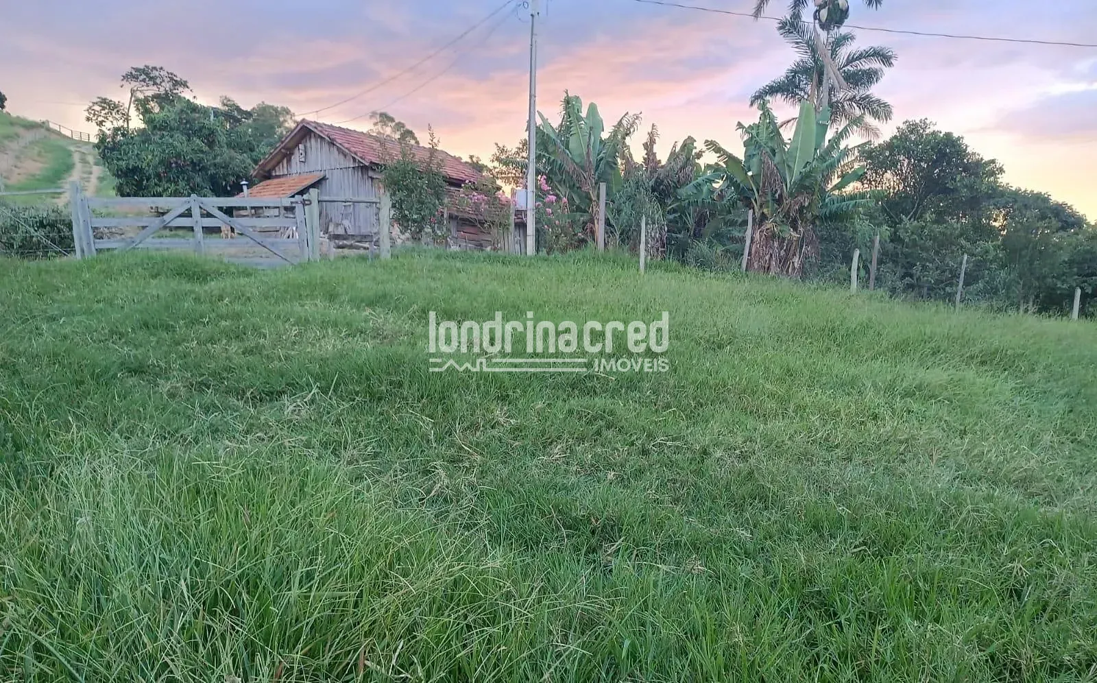 Fazenda, 1200 hectares - Foto 13