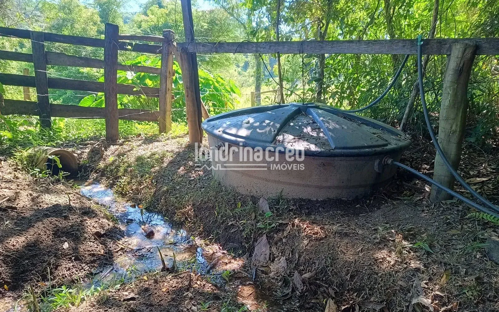 Fazenda, 1200 hectares - Foto 22