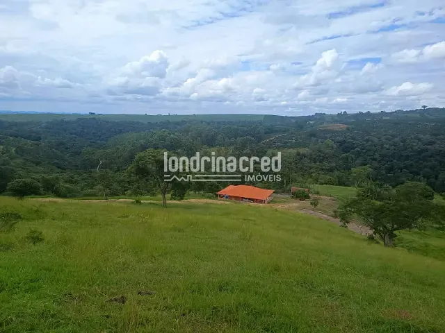 Sítio com 12000000m², à venda, no bairro Pinhalão - PR em Pinhalão