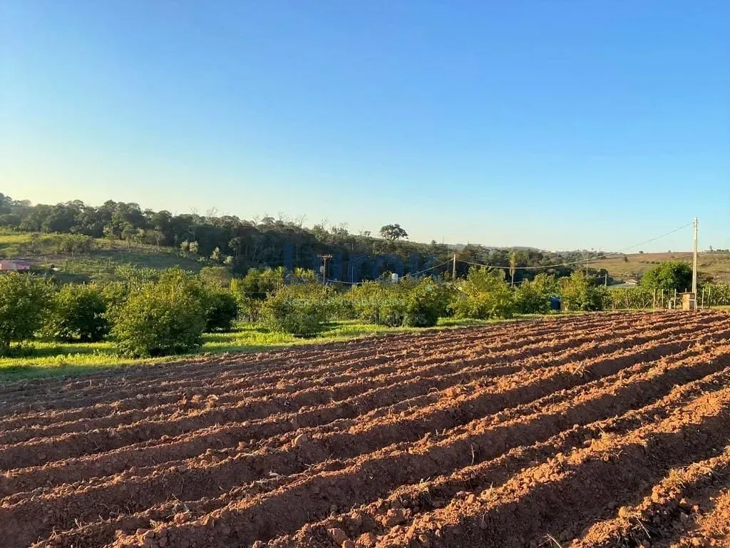 Sítio, 3 quartos, 3 hectares - Foto 31