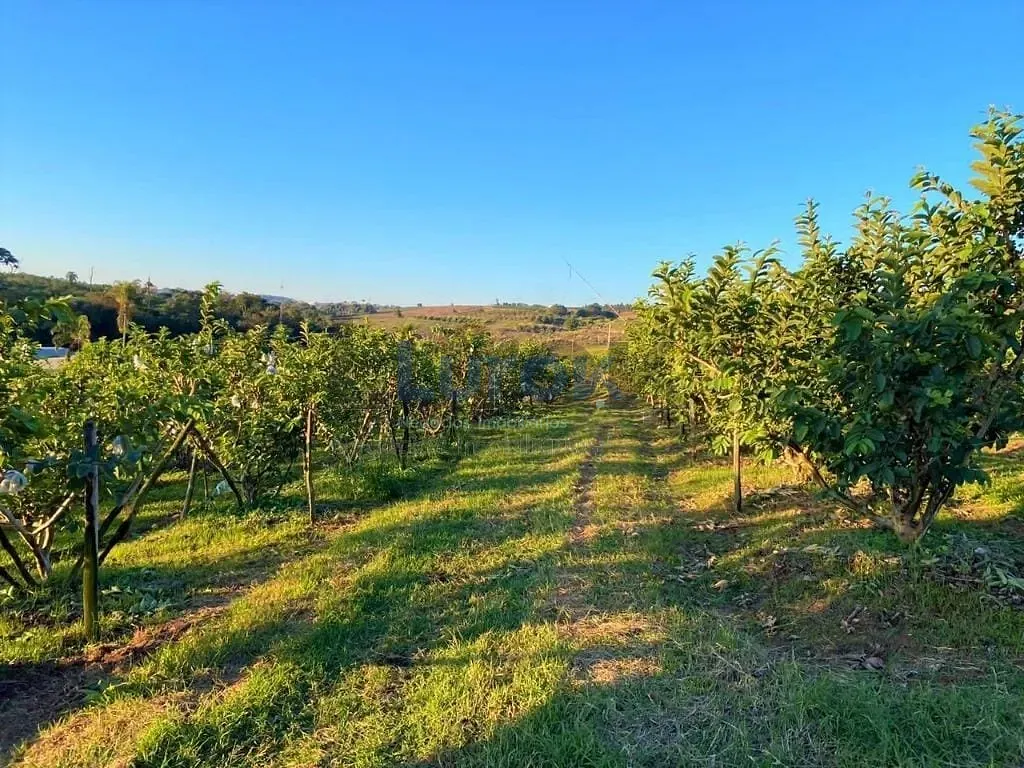 Sítio, 3 quartos, 3 hectares - Foto 20