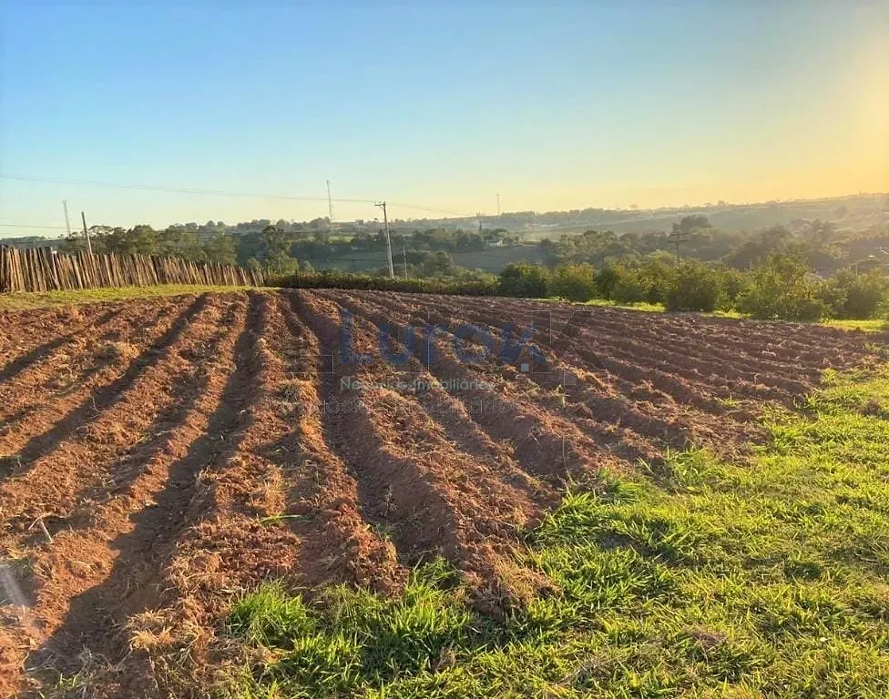 Sítio, 3 quartos, 3 hectares - Foto 32