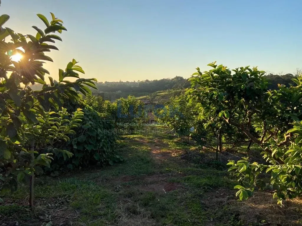 Sítio, 3 quartos, 3 hectares - Foto 38