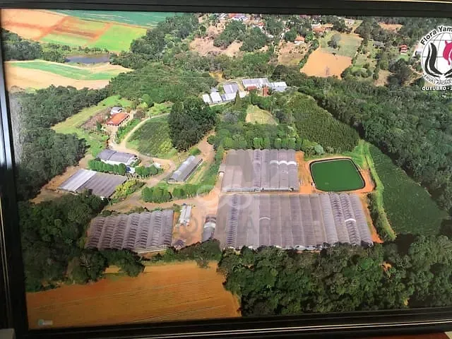Sítio com 96800m², à venda, no bairro Zona Rural em Ibiúna