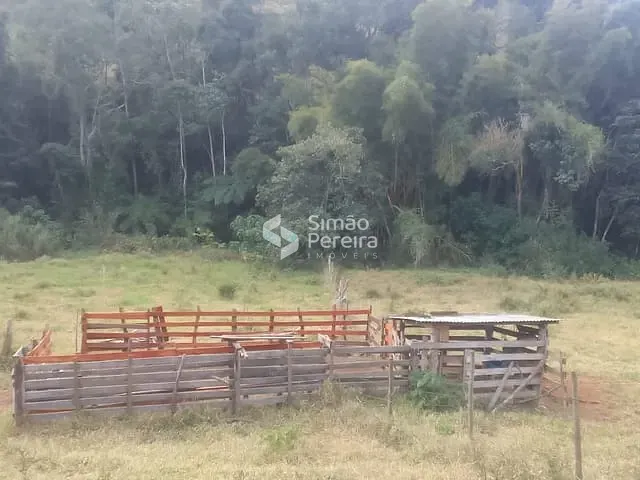 Fazenda com 48000m², à venda, no bairro Zona Rural em Lima Duarte