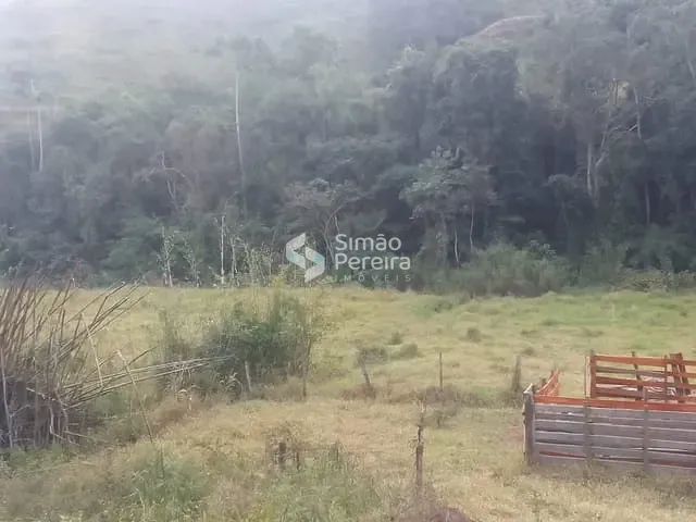 Fazenda com 48000m², à venda, no bairro Zona Rural em Lima Duarte