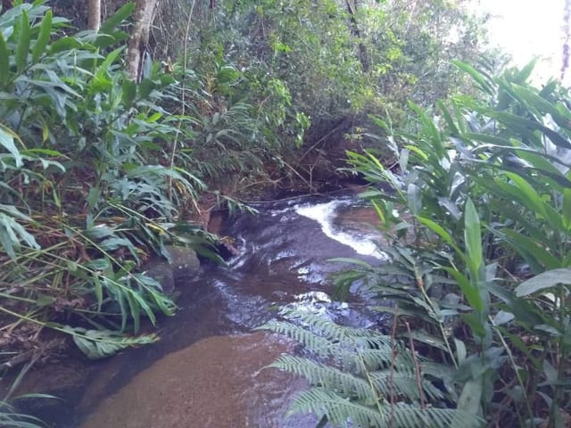 Sítio com 28000m², à venda, no bairro Zona Rural em Ouro Fino
