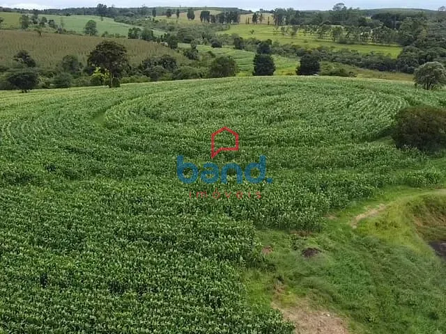 Sítio com 314600m² 6 quartos e 3 banheiros, à venda, no bairro Itatinga em Itatinga
