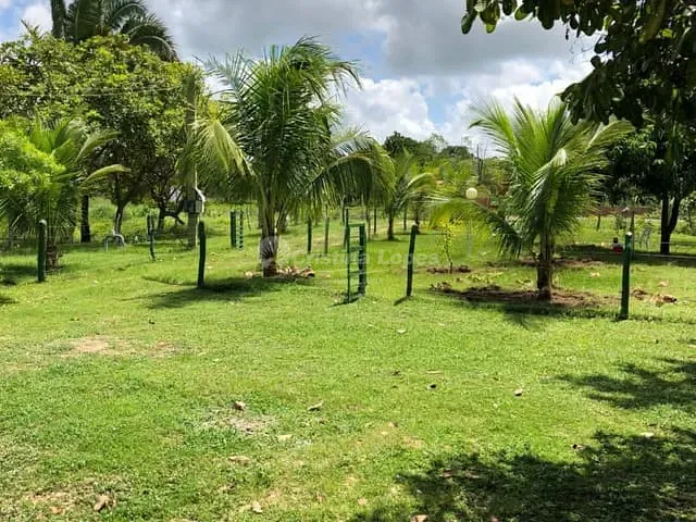 Sítio 2 quartos e 1 banheiro, à venda, no bairro Zona Rural em Nazaria