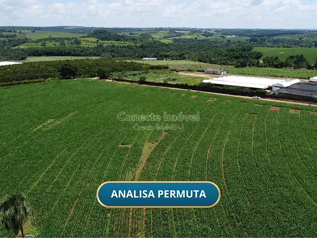 Sítio com 77000m², à venda, no bairro Área Rural de Holambra em Holambra