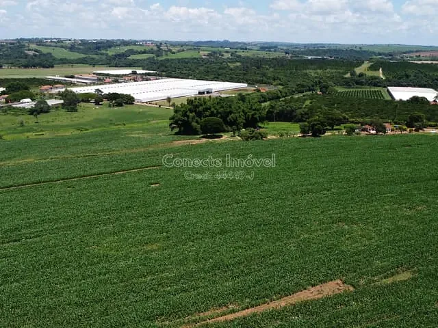 Sítio com 77000m², à venda, no bairro Área Rural de Holambra em Holambra