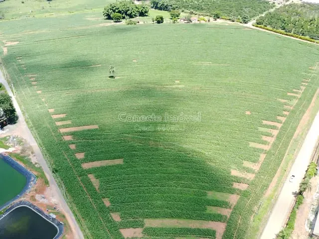 Sítio com 77000m², à venda, no bairro Área Rural de Holambra em Holambra