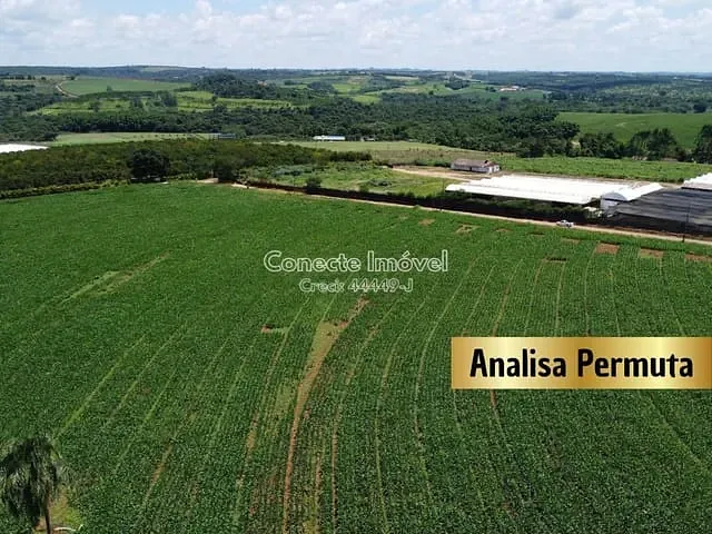 Sítio com 77000m², à venda, no bairro Área Rural de Holambra em Holambra