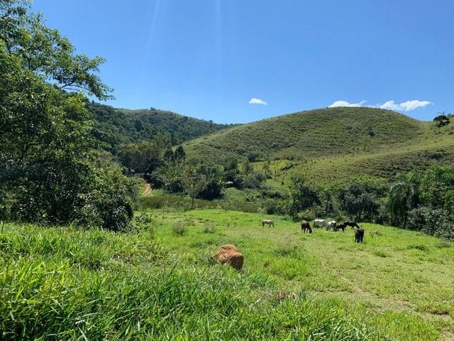 Foto do Sítio - Sítio com 1 dormitório à venda, 121000 m² por R$ 700.000,00 - Pau de Saia - São José dos Campos/SP | INDEPENDENCE NEGOCIOS IMOBILIARIOS LTDA