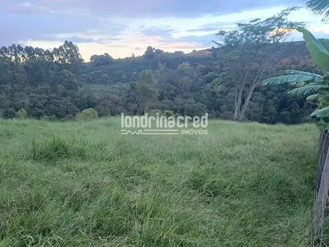 Sítio com 30000m², à venda, no bairro Lavrinha em Pinhalão
