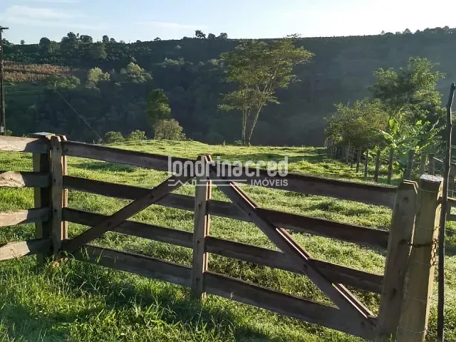 Sítio com 30000m², à venda, no bairro Lavrinha em Pinhalão