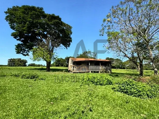 Sítio com 380000m², à venda, no bairro Limeira em Limeira