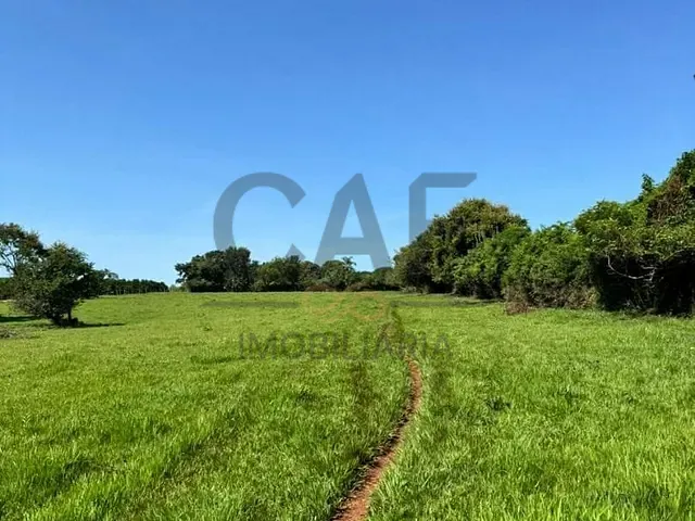 Sítio com 380000m², à venda, no bairro Limeira em Limeira