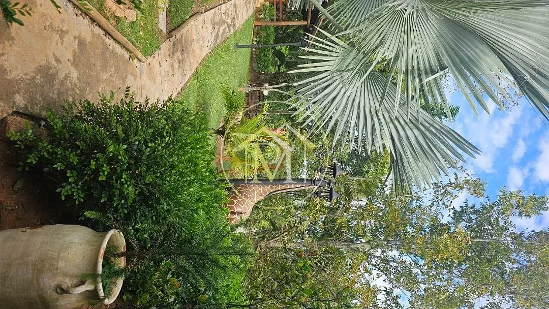 Sítio, 6 quartos, 36 hectares - Foto 6