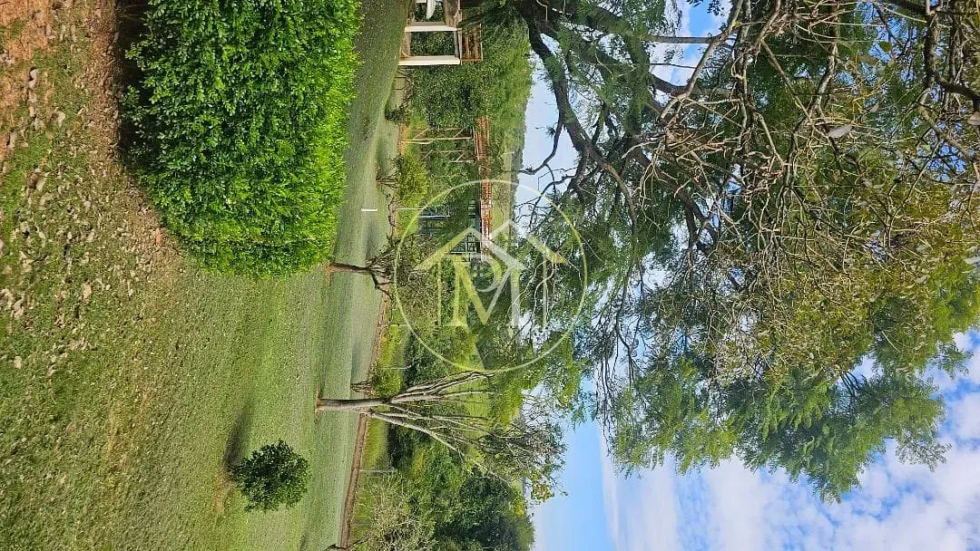 Sítio, 6 quartos, 36 hectares - Foto 10