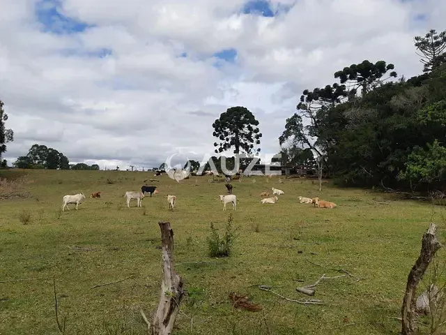 Sítio à venda, no bairro Centro em Araucária
