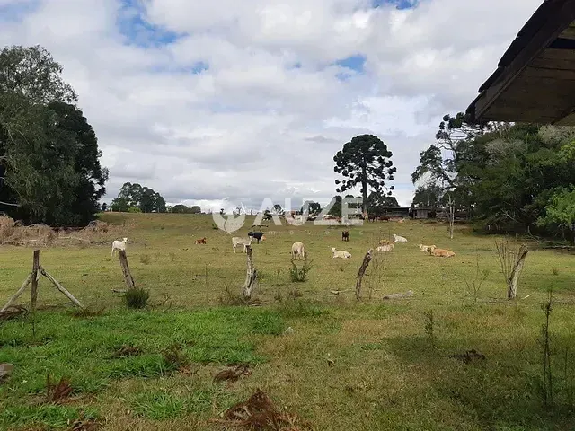 Sítio à venda, no bairro Centro em Araucária