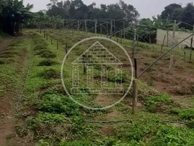 Sítio com 33000m² 3 quartos e 2 banheiros, à venda, no bairro Engenheiro Marsilac em São Paulo