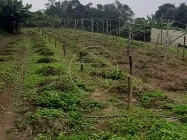 Sítio com 33000m² 3 quartos e 2 banheiros, à venda, no bairro Engenheiro Marsilac em São Paulo