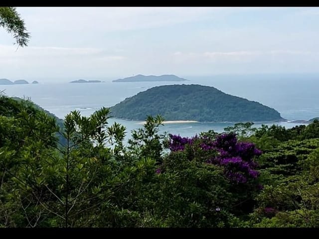 Foto do Sítio - Sítio à venda, 32000 m² por R$ 650.000,00 - Itaguá - Ubatuba/SP | RUSSI IMÓVEIS