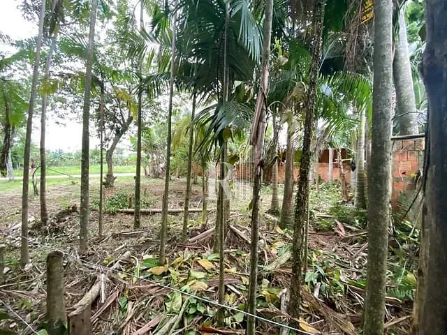 Terreno com 304m², à venda, no bairro Santa Luzia em Tijucas