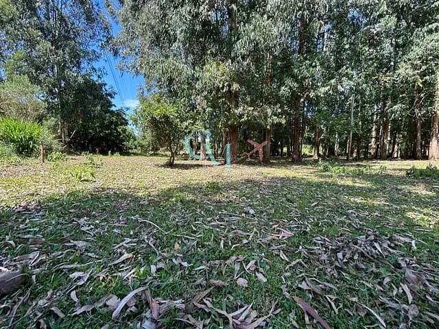 Sítio com 5000m², à venda, no bairro Linha serrinha em Ouro Verde