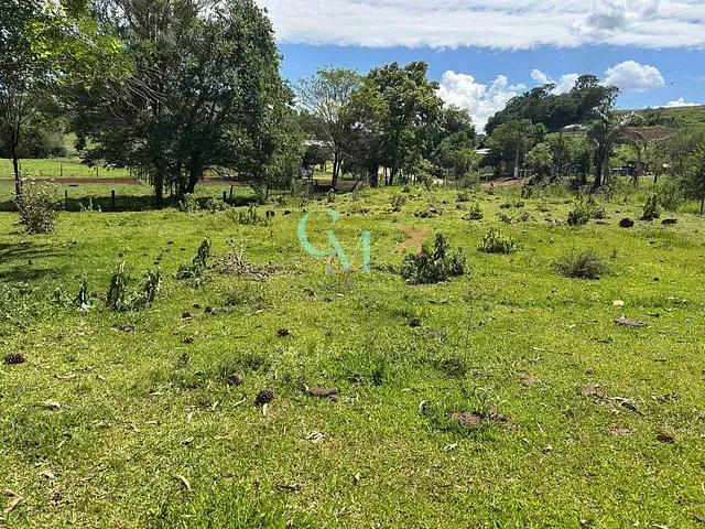 Sítio com 5000m², à venda, no bairro Linha serrinha em Ouro Verde