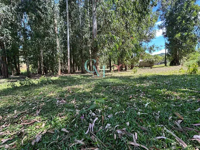 Sítio com 5000m², à venda, no bairro Linha serrinha em Ouro Verde
