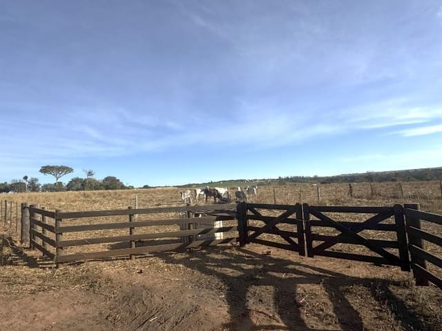 Sítio com 66550m², à venda, no bairro Zona Rural em Tatuí