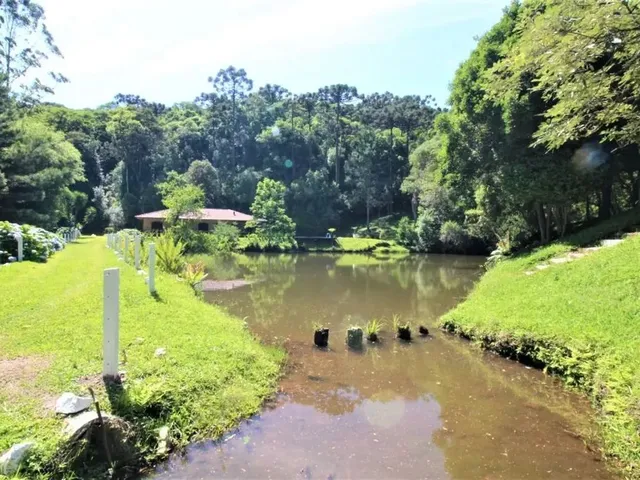 Sítio 4 quartos e 4 banheiros, à venda, no bairro Zona Rural em Quatro Barras