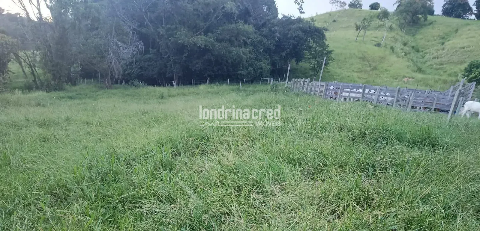 Fazenda, 10 m² - Foto 13