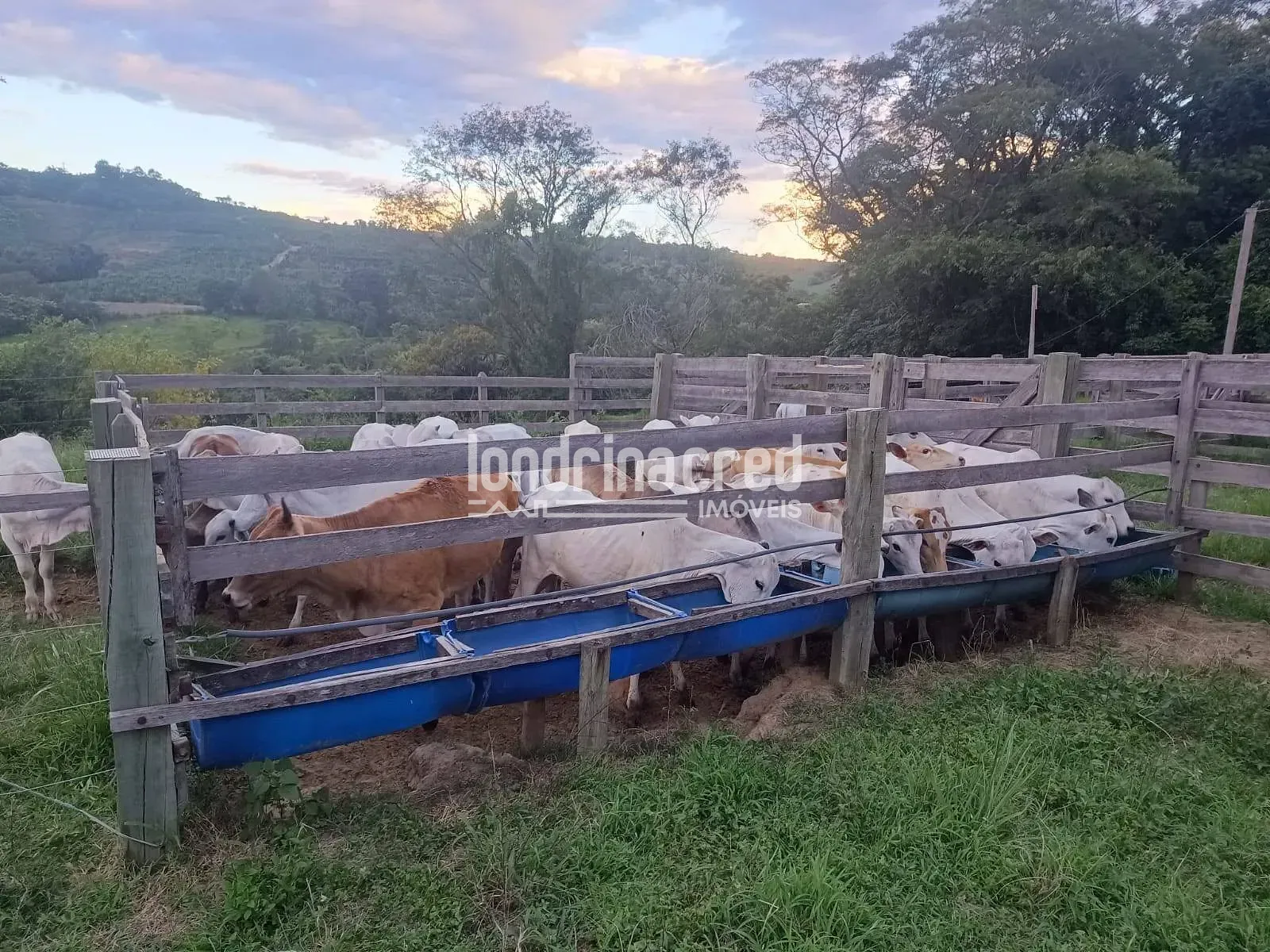 Fazenda, 10 m² - Foto 14