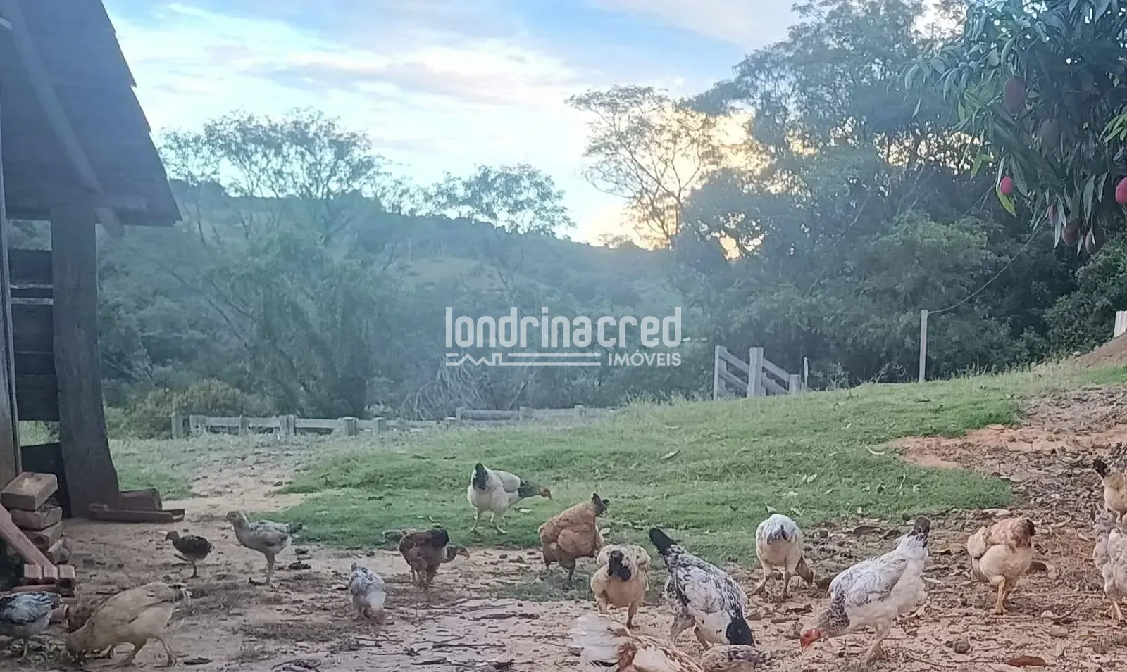 Fazenda, 10 m² - Foto 16