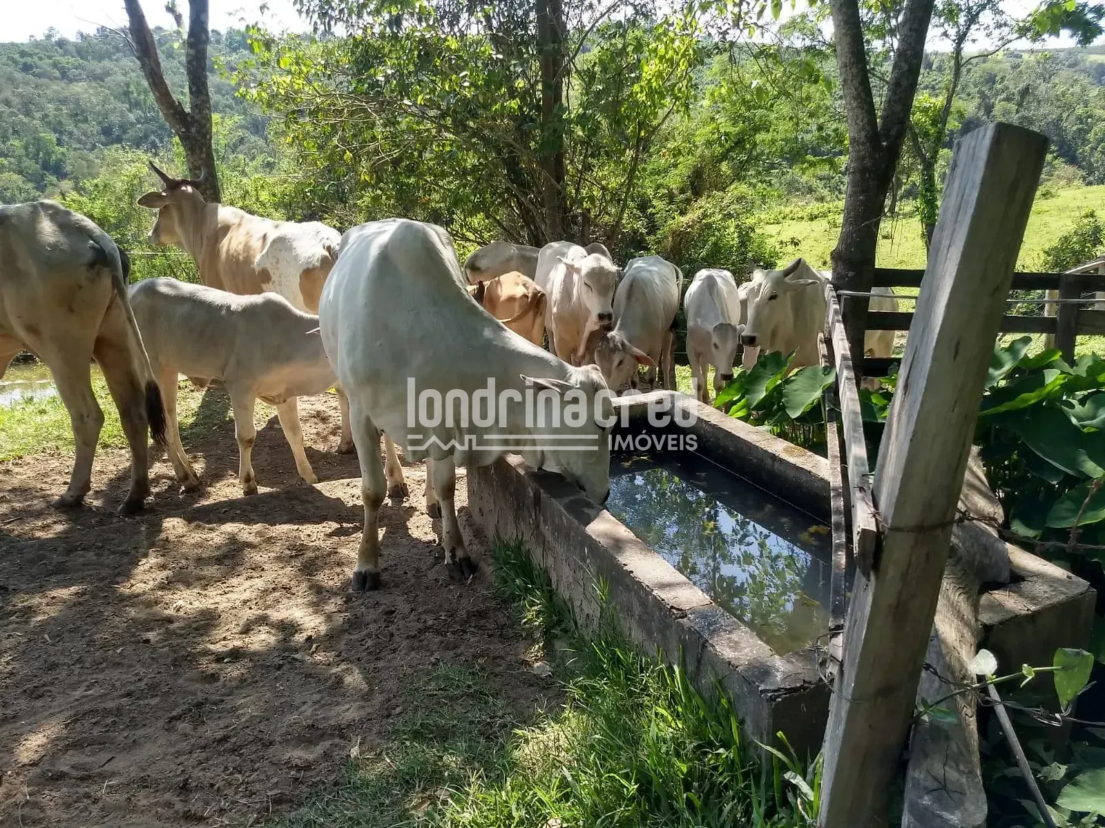 Fazenda, 10 m² - Foto 18