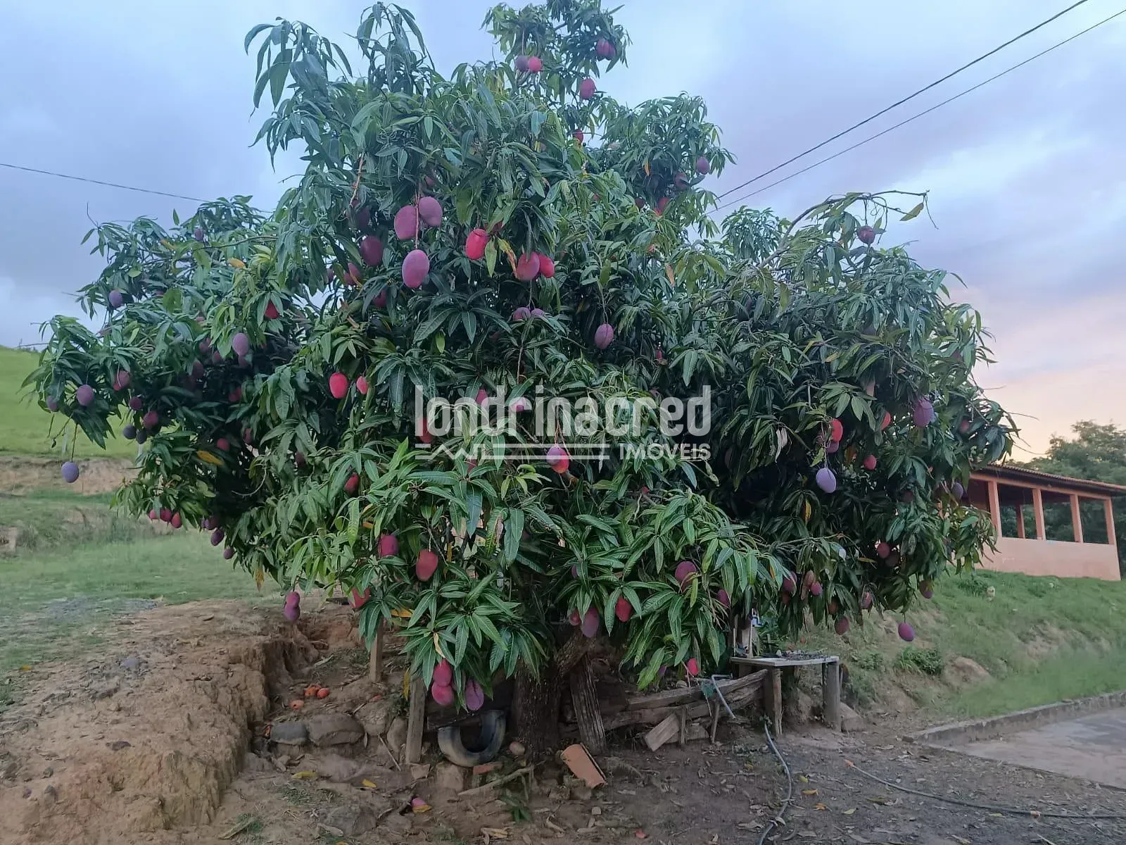 Fazenda, 10 m² - Foto 23