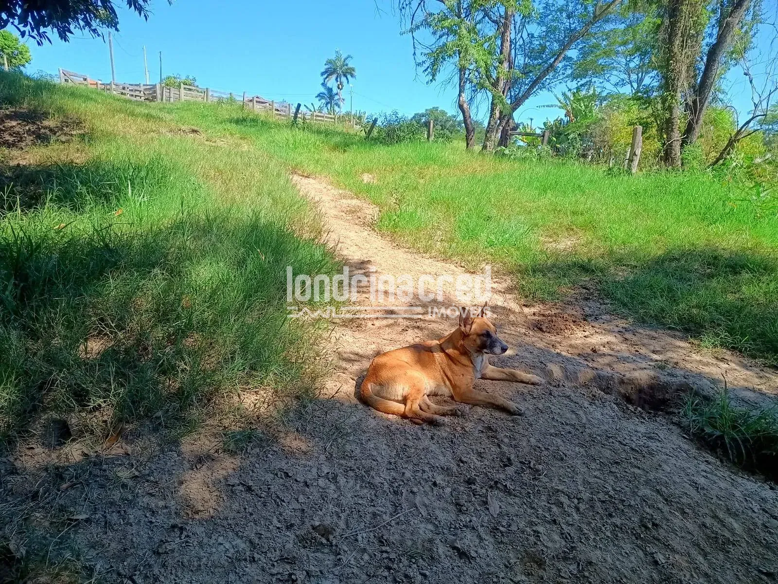 Fazenda, 10 m² - Foto 25