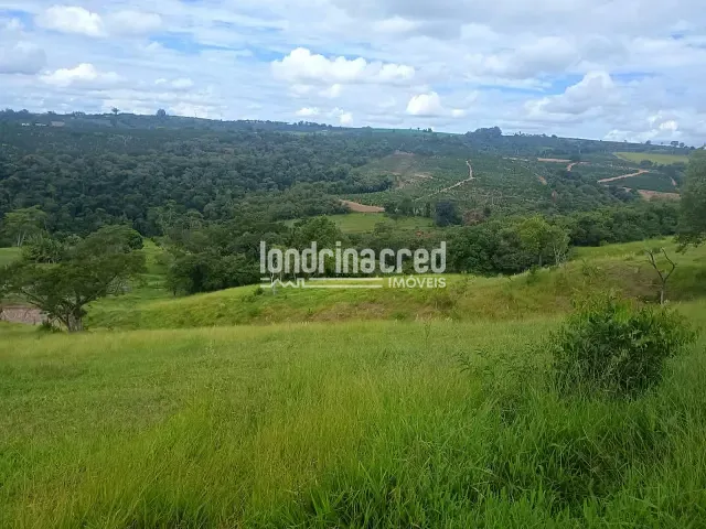 Sítio à venda, no bairro Lavrinha em Pinhalão