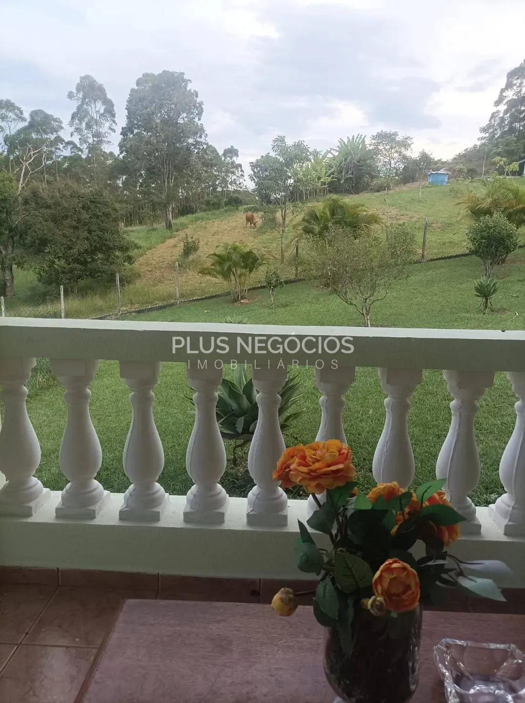 Fazenda, 6 hectares - Foto 46